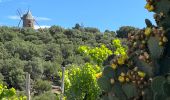 Trail  Argelès-sur-Mer - 20240601 Racou - St Elme (fort) - Photo 2