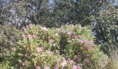 Excursión Senderismo Nîmes - Clos Gaillard  - Photo 10