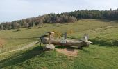 Randonnée Marche Breitenbach-Haut-Rhin - auberge Lameysberg  - Photo 4