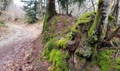 Trail Walking Bussière-Galant - Le sentiers des Demoiselles - Photo 14