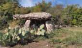 Tour Radtourismus  Vogüé - Vogüé Vignobles et un Dolmen  - Photo 2