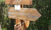 Trail Walking Moulinet - Baisse de Bécass - Photo 9