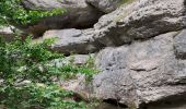 Tour Wandern Mazaugues - Saut du Cabri gorges du Carami - Photo 1