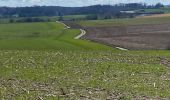 Randonnée Marche Gerpinnes - Froidure ensoleillée  - Photo 4