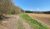 Trail Walking Beauvechain - HAMME mille 20,8 km - Photo 12