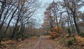 Tocht Stappen Eupen - A la découverte d'Eupen 🥾 - Photo 12