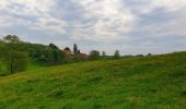 Tour Wandern Écaussinnes - Balade à Ecaussinnes - Photo 9