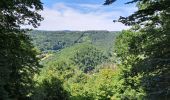 Trail Walking Bouillon - la balade des points de vue n 1 - Photo 1