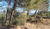 Trail Walking Caunes-Minervois - LaMatte_18/02/2023 - Photo 13