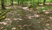 Percorso Marcia Vendôme - Randonnée dans le Bois de l'Oratoire à Vendôme  - Photo 17