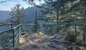 Trail  Gerbépal - Gerbépal - Photo 1
