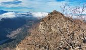 Tour Wandern Saou - Forêt de Saoù - Saint-Médard - Photo 9