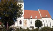 Tour Zu Fuß Gemeinde Kirchschlag - Rundwanderweg D9: Wetterkreuzweg (Kirchschlag in der Bucklingen Welt) - Photo 3