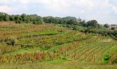 Percorso A piedi Sesana - Teranova krožna pot Dutovlje - Photo 4