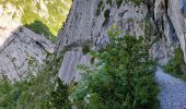 Excursión Senderismo Borce - chemin de la mature - Photo 7