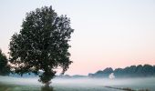 Tour Zu Fuß Halver - Halver Rundweg A7 - Photo 3