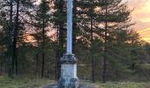 Trail Walking Fontainebleau - Sentier Denecourt n2 - Photo 1