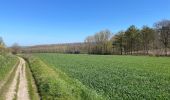 Tocht Stappen Chaumont-Gistoux - BE-Chaumont-Gistoux - Le Bercuit par Dion-le-Val - blog le bruant wallon - Photo 10