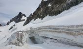 Tour Wandern La Grave - dome de la Lauze - Photo 1