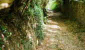 Trail Walking Saint-Derrien - St-Derrien randonnée vers Moulin de Lansolot - Photo 4