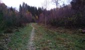 Trail Walking Sewen - Graber Novembre 23 - Photo 4