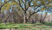 Trail Walking Liège - angleur gare . sart tilman via bois St Laurent.retour via bois St jean - Photo 4