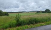 Excursión Senderismo Havelange - Porcheresse en condroz  180624 - Photo 1