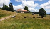 Tour Wandern Schönenberg - Tour du Champ du Feu - Photo 19
