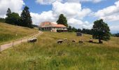 Excursión Senderismo Belmont - Tour du Champ du Feu - Photo 19