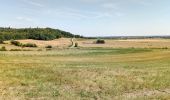 Tour Wandern Villers-en-Argonne - Villers en Argonne du 24/07/2022 - Photo 1