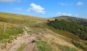 Trail Walking La Bresse - Le Hohneck et ses lacs d'altitude - Photo 8
