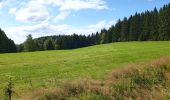 Randonnée A pied Markneukirchen - Erlbacher Bergweg - Photo 3