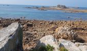 Tour Wandern Plougrescant - Le gouffre, la pointe du château à Plougrescant - Photo 11