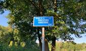 Percorso Marcia Watermael-Boitsfort - Watermaal-Bosvoorde - Parc Solvay Grippensdelle - Photo 9