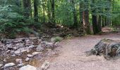 Trail Walking Spa - artistes . nelis . geronster . meyerber . artistes  - Photo 4