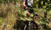 Trail Mountain bike Saint-Clément - sortie VTT 020918 Vitrimont - Photo 6
