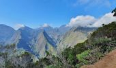 Trail Walking La Possession - Dos d'Ane - Roche vert bouteille  - Cap noir - Photo 8