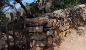 Tocht Stappen Cargèse - la Tour de cargese Corse - Photo 19