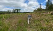 Trail Walking Libramont-Chevigny - Séviscourt - Photo 9