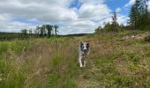 Tour Wandern Libramont-Chevigny - Séviscourt - Photo 9