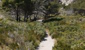 Trail Walking Marseille - Callelongue-Marseilleveyre - Photo 7