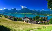 Randonnée A pied St. Wolfgang im Salzkammergut - Auerriesenweg - Photo 6