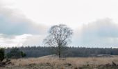 Tour Zu Fuß Apeldoorn - Welkom op de Loenermark! Zwarte route - Photo 6