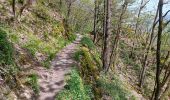 Trail Walking Stoumont - stoumont :  aller via corniche , retour via amblève - Photo 19