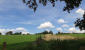 Trail Walking Dinant - FOY GPX BERLAGE - Photo 8