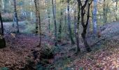 Tocht Elektrische fiets Fougerolles-Saint-Valbert - 31-10-20 Razel - bons enfants - Photo 1