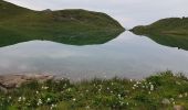 Tour Wandern Beaufort - Beaufortain: Autour de La Pierra Menta: J5 - Plan Mya - La Coire - Photo 11