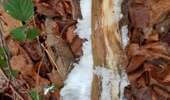 Tour Wandern Clavier - Pailhe - Photo 2