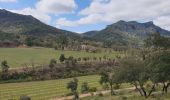 Trail Walking La Celle - Le dolmen de l'Amarron - Photo 10