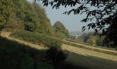 Tocht Te voet Berg en Dal - N-70 Natuurwandelroute - Photo 3